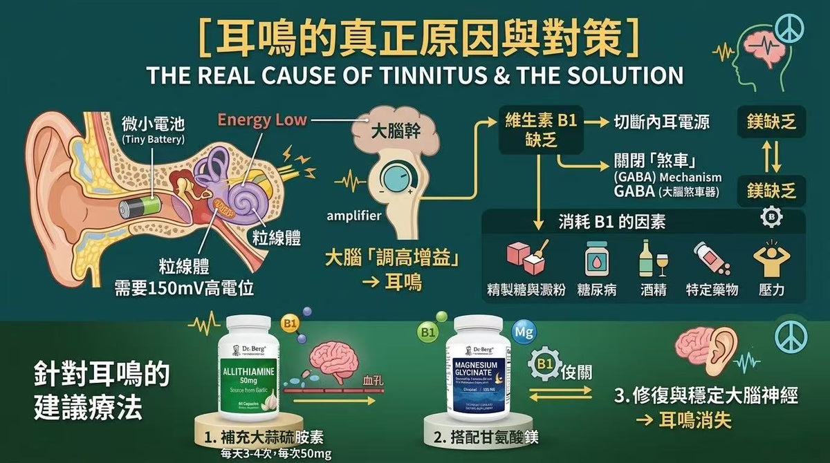 耳鳴的真正原因是什麼？