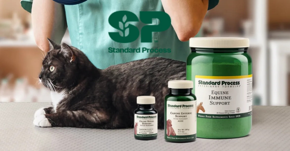 Standard Process (Pet)