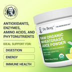 (預訂PRE-ORDER)Organic Raw Wheatgrass Juice Powder Lemon｜有機生小麥草汁粉檸檬164G