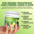 (預訂PRE-ORDER)Organic Raw Wheatgrass Juice Powder Lemon｜有機生小麥草汁粉檸檬164G