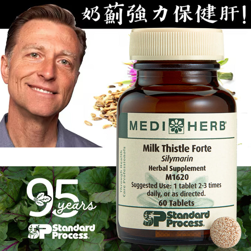 (預訂PRE-ORDER)Milk Thistle Forte, 60 Tablets｜強化水飛薊（奶薊)，60 片
