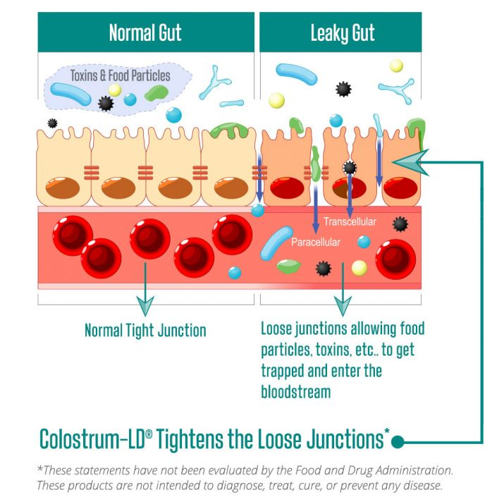 (預訂PRE-ORDER)Colostrum-LD Powder｜牛初乳粉末