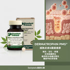 (預訂PRE-ORDER)Standard Process | Dermatrophin PMG® 專利上皮修護配方 (90/360 粒裝) 細胞級皮膚與腸道粘膜修復，維持結締組織健康