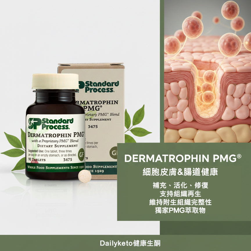 (預訂PRE-ORDER)Standard Process | Dermatrophin PMG® 專利上皮修護配方 (90/360 粒裝) 細胞級皮膚與腸道粘膜修復，維持結締組織健康