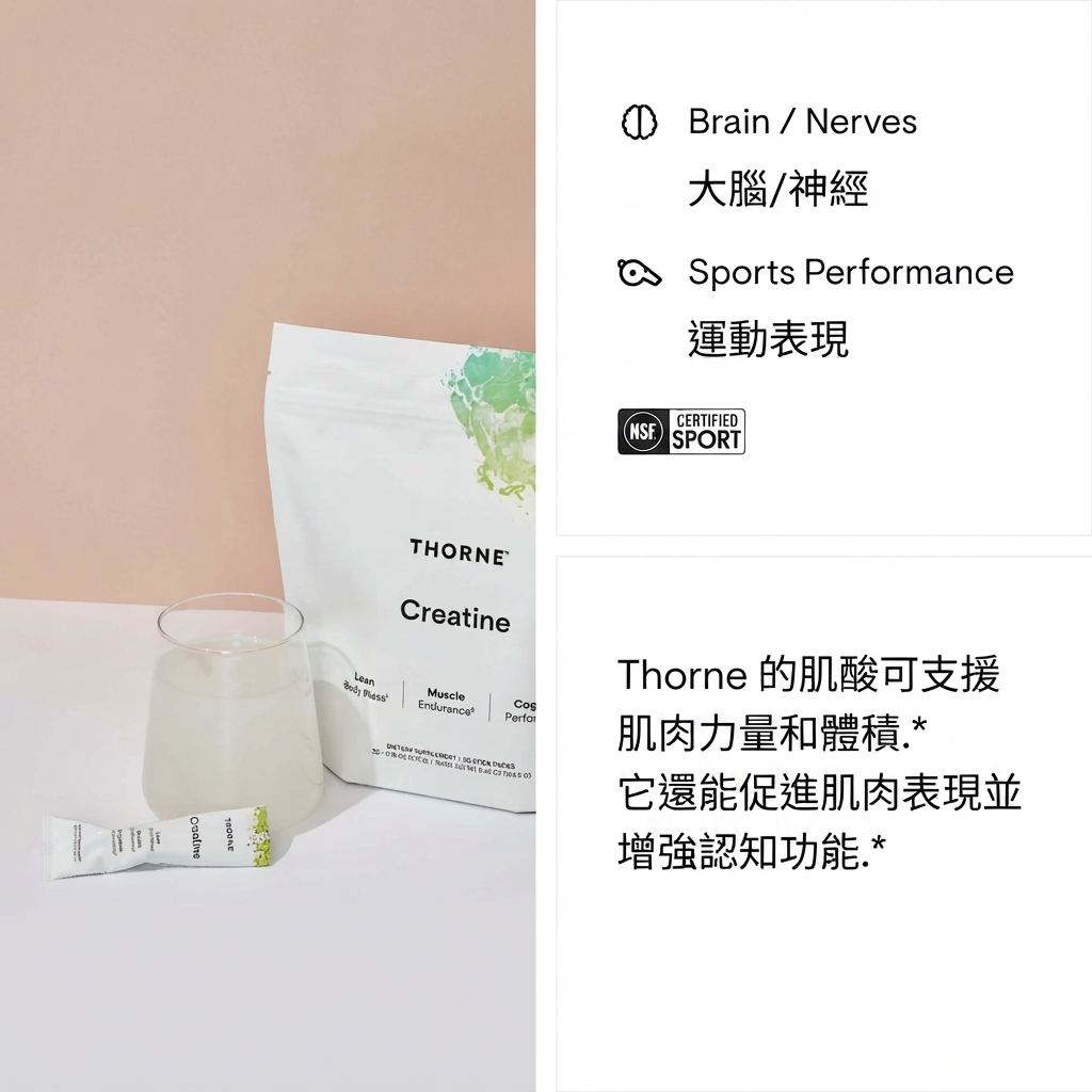 Thorne 高效純淨肌酸隨身包30袋（Creatine - Travel Packs 30  Packets）