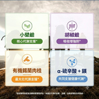 (預訂PRE-ORDER)Dr. Berg 柏格醫生 小檗鹼+錫蘭肉桂強效膠囊 (60粒裝)｜5合1黃金科學配方，全面啟動低碳代謝力！